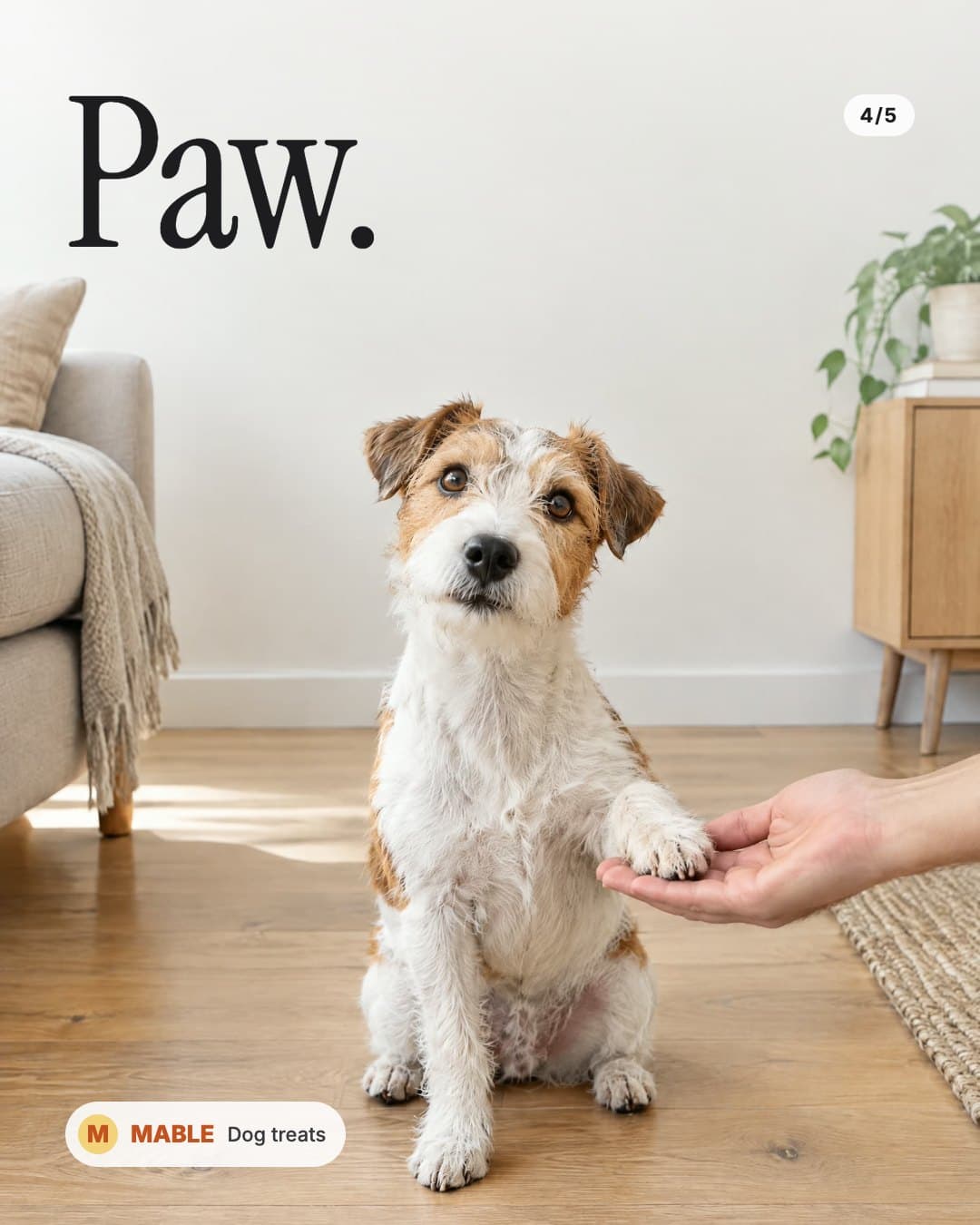 Karruselkort 4: terrieren giver pote, overskrift Paw.