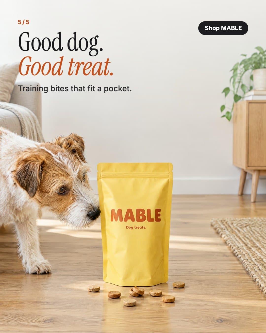 Karruselkort 5: MABLE-posen med godbidder og terrieren, der snuser, overskrift Good dog.