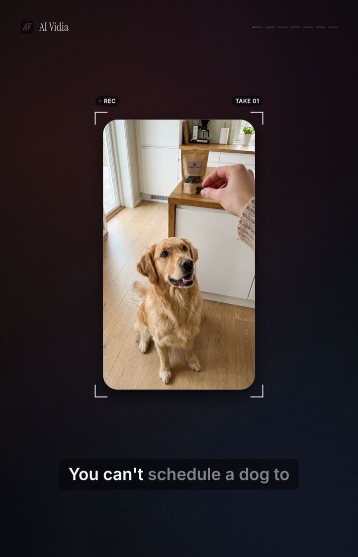 Still from the film: a phone screen films a golden retriever being offered a treat, with the caption "You can't schedule a dog to".