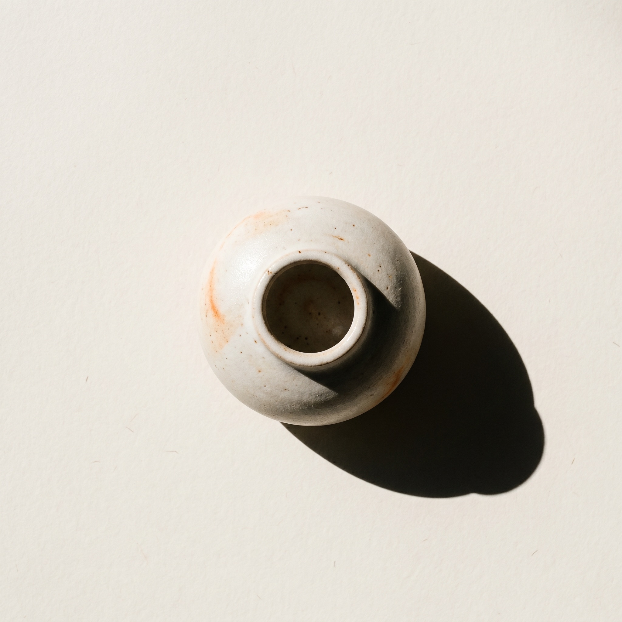 Clean overhead of a product shot with precise color fidelity and neutral background.