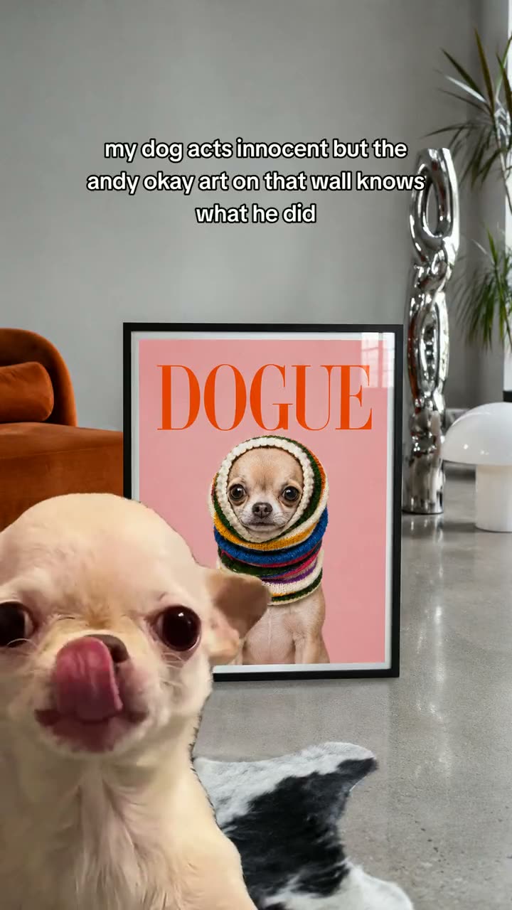 Andy Okay green-screen ad: dog reacts to the DOGUE cover print
