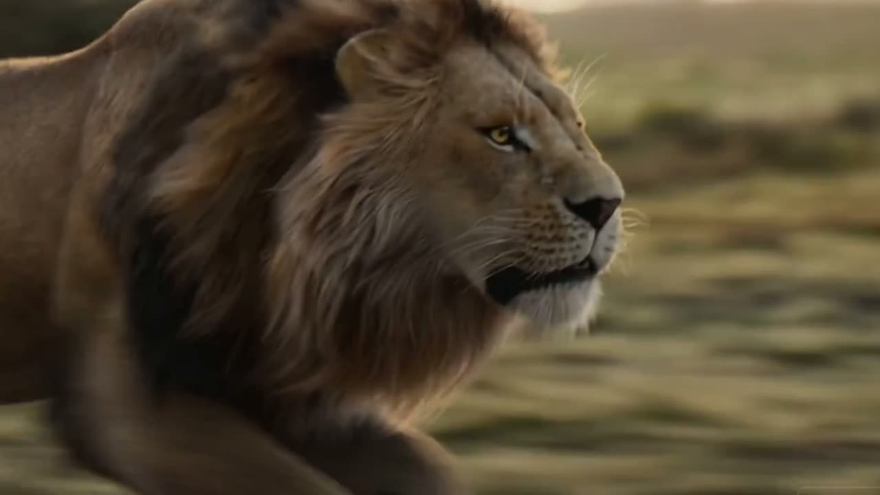 Cinematic lion running across savanna. AI-generated wildlife film