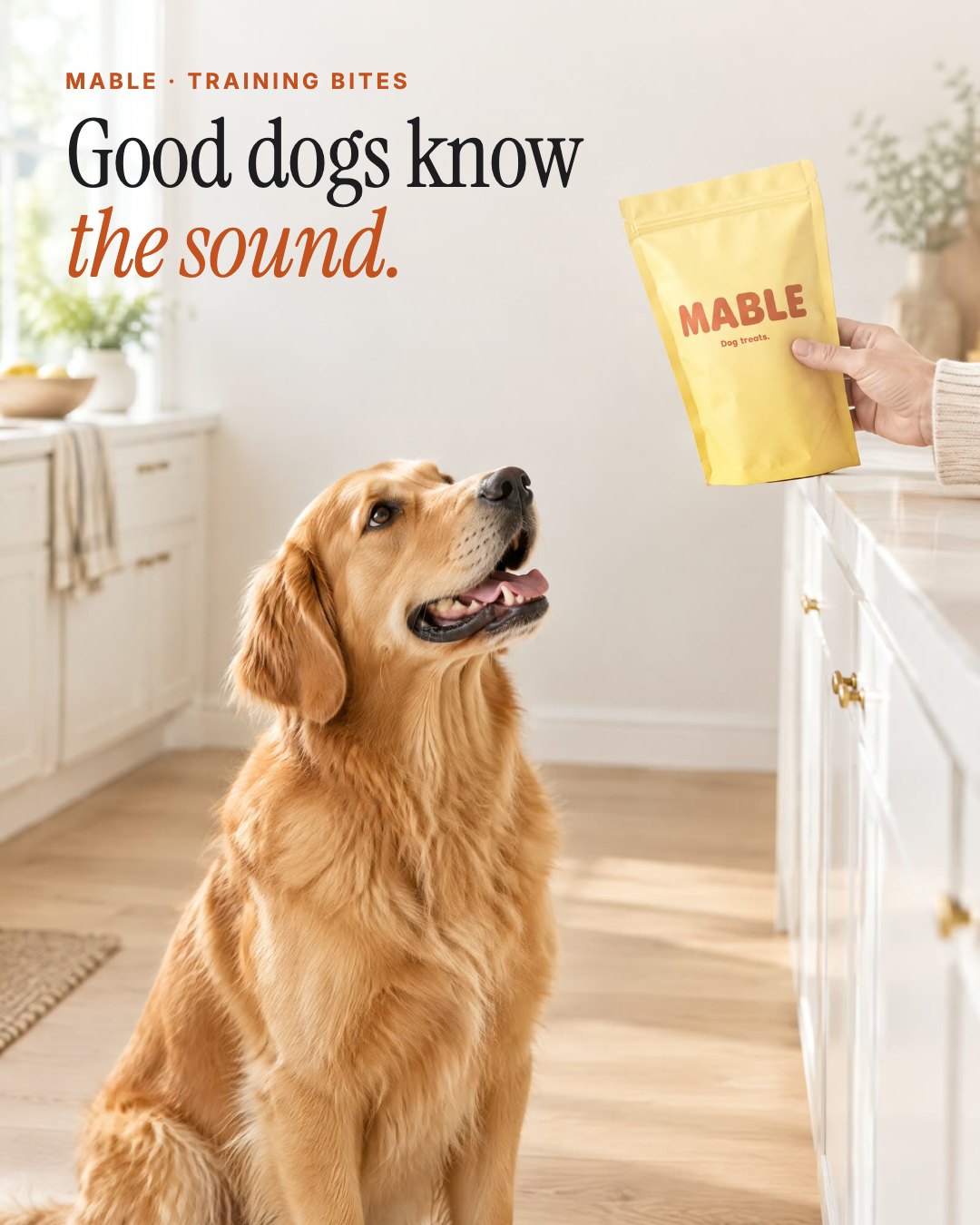 AI-generated studio demo ad for the fictional dog treat brand MABLE: a golden retriever looks up at the yellow MABLE pouch in a bright kitchen