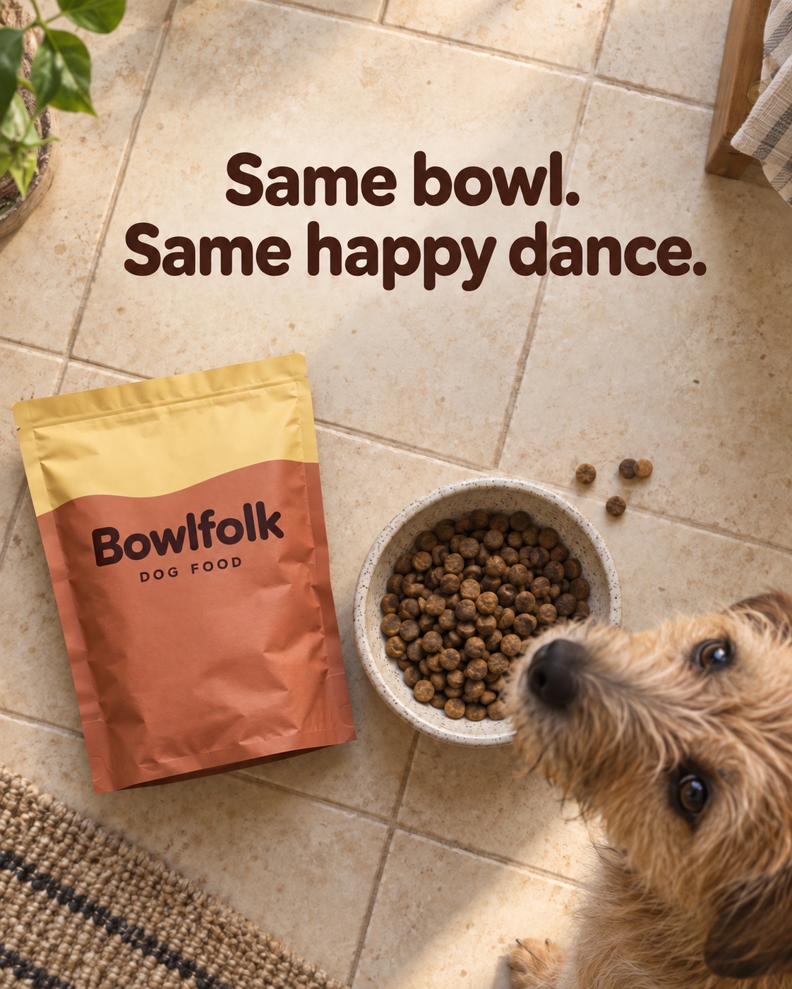 AI-generated spec ad for a fictional dog food brand, Bowlfolk: an overhead shot of a terrier looking up at a full kibble bowl, headline Same bowl. Same happy dance.