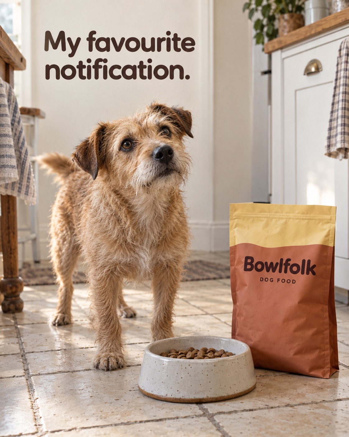 AI-generated spec ad for a fictional dog food brand, Bowlfolk: a terrier waits beside a full bowl and the kraft bag, headline My favourite notification.