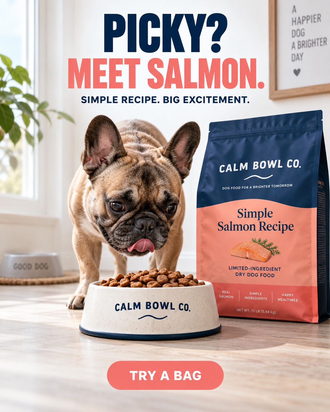 AI-generated spec ad for a fictional dry dog food brand, Calm Bowl Co.: a French bulldog licking its lips over a bowl of kibble beside the salmon recipe bag, headline Picky? Meet salmon.