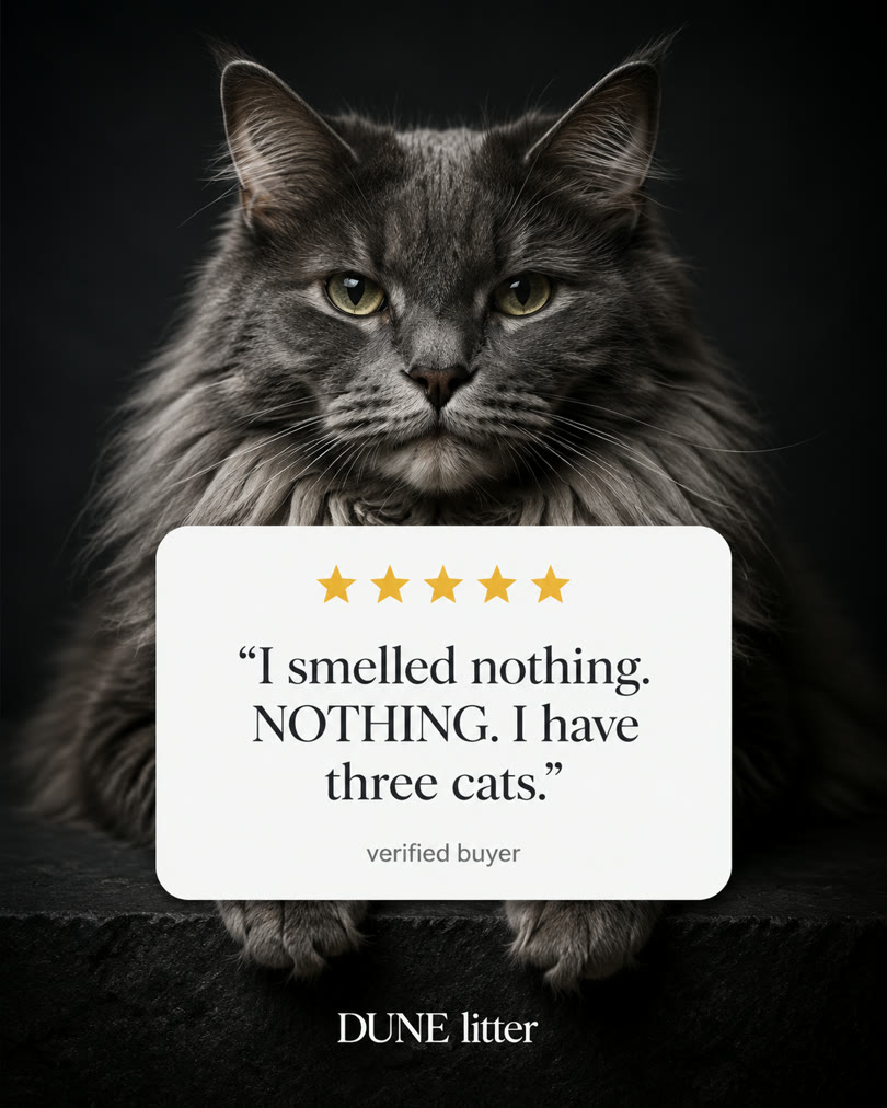 AI-generated spec ad for a fictional cat litter brand: five-star review card over a gray cat portrait