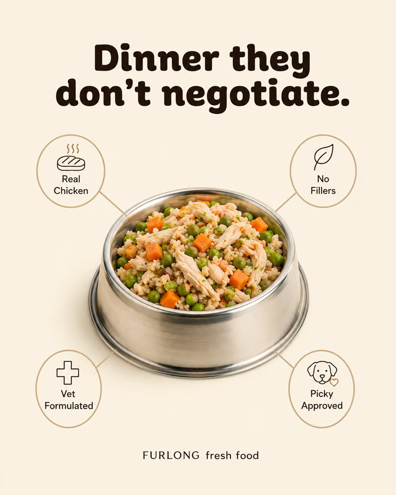 AI-generated spec ad for a fictional fresh dog food brand: benefit diagram around a bowl